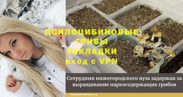 эйфоретик Балахна