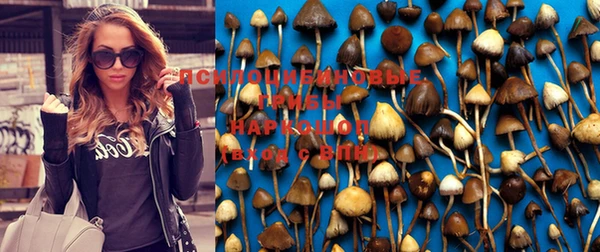 эйфоретик Балахна