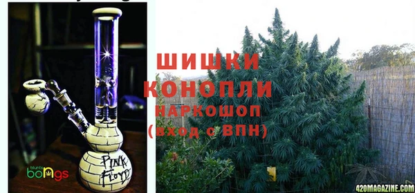 эйфоретик Балахна