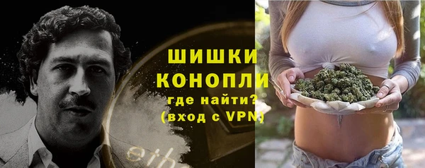 гидра Баксан