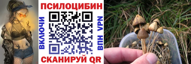 Псилоцибиновые грибы Cubensis  площадка какой сайт  Кодинск  где найти  